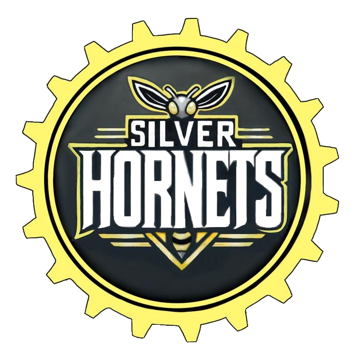 Silver Hornets logo